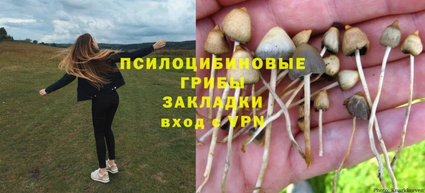винт Мегион