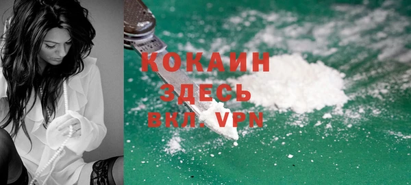 дмт Абаза