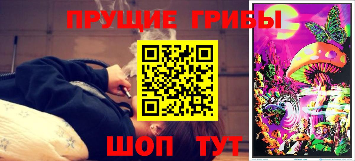 Галлюциногенные грибы Psilocybe  Псилоцибиновые грибы GOLDEN TEACHER  Октябрьский  Вход с VPN 