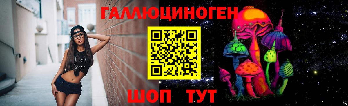 Галлюциногенные грибы Psilocybe Октябрьский